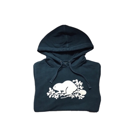 SOLD Blue Roots Hoodie - Picture 3 of 4